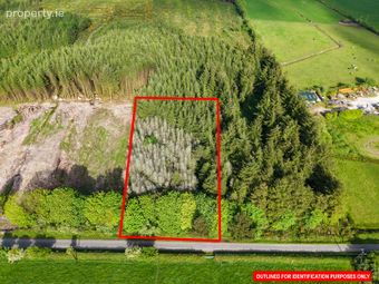 Ballinphellic, Innishannon, Co. Cork - Image 4