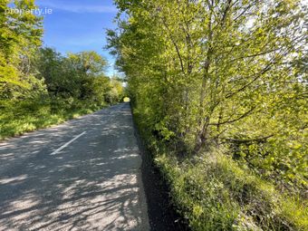 Land C. 4 Acres / 1.62 Hectares, Dunnstown, Naas, Co. Kildare - Image 5