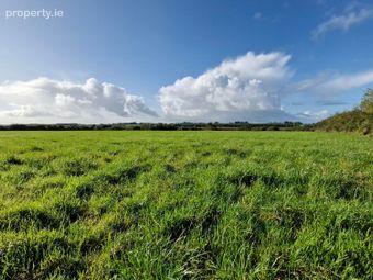46 Acres Of Land In Knocknagur, Tuam, Co. Galway, Mullagh, Co. Galway - Image 5