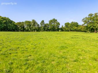 Lot 2 - North Land At Lisnavagh, Lisnavagh, Co Carlow, R93 K162, Rathvilly, Co. Carlow - Image 2