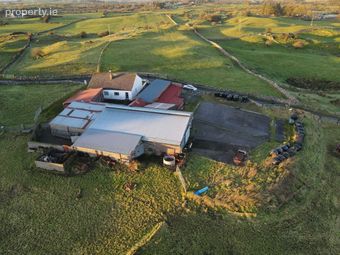 C.8 Acres At Knockaunakill, Mayo Abbey, Mayo, Co. Mayo - Image 5
