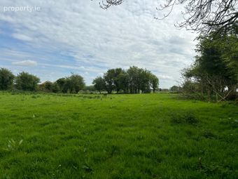 C. 48 Acres In Mountain Forthill, Ballyhaunis, Co. Mayo - Image 3