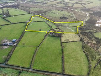 Residence On Approx. 15.59 Acres At Oakfield, Strokestown, Co. Roscommon, Strokestown, Co. Roscommon - Image 2