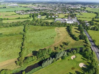 C. 43 Acres, Turtulla / Clongour, Thurles, Co. Tipperary, Thurles, Co. Tipperary - Image 5