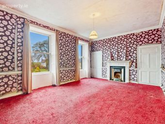 Rathview House, Bracknagh Road, Rathangan, Co. Kildare - Image 4