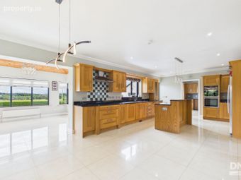 Residence On C. 0.70 Acres At Gurteen, Mountbellew, Co. Galway - Image 4
