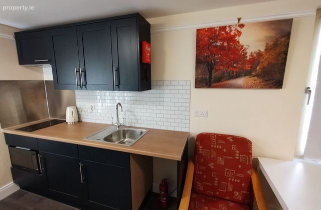 College Road, Cork, Western Road, Co. Cork - Click to view photos