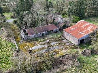 25 Acres (approx.) At Ballyroddy, Elphin, Co. Roscommon, Elphin, Co. Roscommon - Image 2