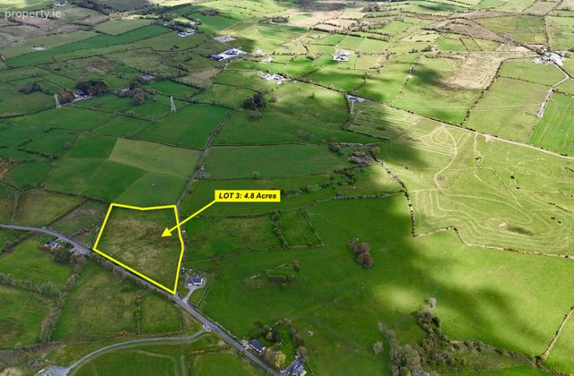 4.8 Acres (approx.) At Boherroe, Elphin, Co. Roscommon, Elphin, Co. Roscommon - Click to view photos