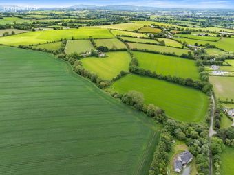 Ratheadon, Bagenalstown, Co. Carlow, Bagenalstown, Co. Carlow - Image 4