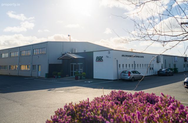 Arklow Business Enterprise Centre, Kilbride Industrial Estate, Arklow, Co. Wicklow - Click to view photos