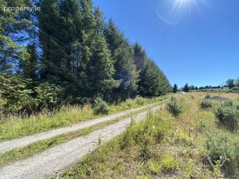 Site At Rossmore, Knockperry, Newcastle, Co. Tipperary, Newcastle, Co. Tipperary - Image 3