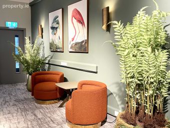 Clarendon Street, Dublin 2 - Image 3
