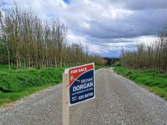 C.93 Acres Of Forest, Gortacurrig, Kildorrery Near, Fermoy, Co. Cork