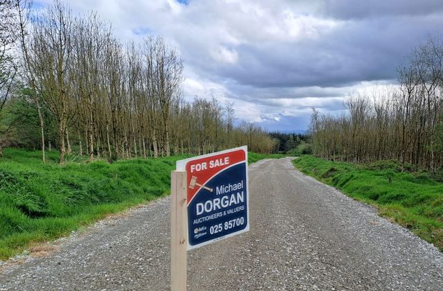 High Nature Value Site, C.93 Acres, Gortacurrig, Kildorrery Near, Fermoy, Co. Cork - Click to view photos