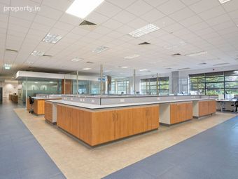 Ida Business Park Southern Cross Road, Bray, Co. Wicklow - Image 4