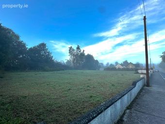 Annagh Hill, Ballyglunin, Turloughmore, Co. Galway - Image 3