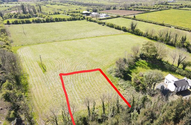 Currsallagh, Lisacul, Co. Roscommon - Click to view photos