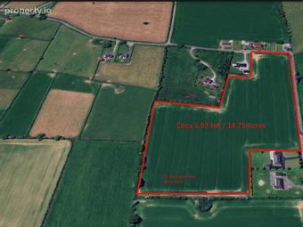 Circa 14.75 Acres At, Newtownadam, Cahir, Co. Tipperary, Garnavilla, Co. Tipperary - Image 4
