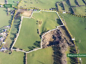 21.5 Acres Dowdenstown Great, Ballymore Eustace, Naas, Co. Kildare, Punchestown, Co. Kildare - Image 3