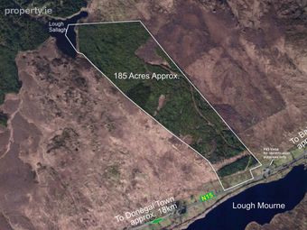 185 Acres Of Afforested Land, Cashelnavean, Ballybofey, Co. Donegal, Ballybofey, Co. Donegal