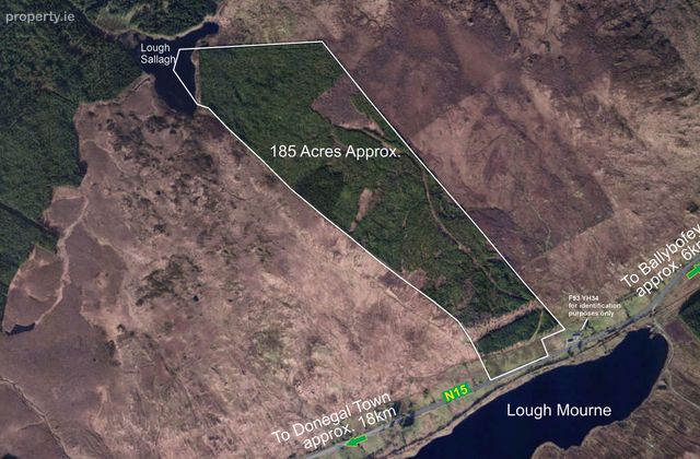 185 Acres Of Afforested Land, Cashelnavean, Ballybofey, Co. Donegal, Ballybofey, Co. Donegal - Click to view photos