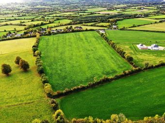 17.65 Acres, Richmond, Nenagh, Co. Tipperary, Nenagh, Co. Tipperary - Image 2