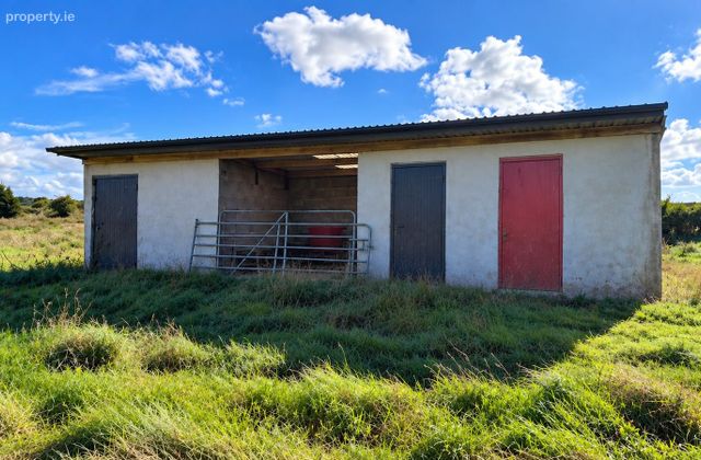 Meeltraun, Cloonfad, Co. Roscommon - Click to view photos