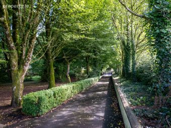 Erindale, Friarstown, Co. Kildare, The Curragh, Co. Kildare - Image 2