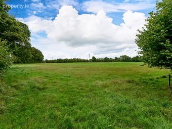 19 Acres Ballyonan, Broadford, Co. Kildare, Broadford, Co. Kildare - Image 2
