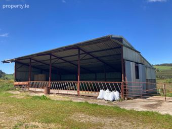 Shanballyduff, Drombane, Thurles, Co. Tipperary
