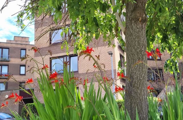 Belfield Court, Donnybrook, Dublin 4 - Click to view photos
