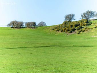 21.5 Acres Dowdenstown Great, Ballymore Eustace, Naas, Co. Kildare, Punchestown, Co. Kildare - Image 5
