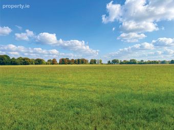 C. 32 Acres, Moorhill, Brannockstown, Co. Kildare - Image 2