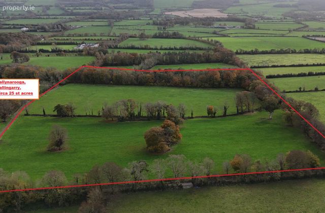 Ballynarooga, Ballingarry, Limerick, Co. Limerick, Castletown, Co. Limerick - Click to view photos