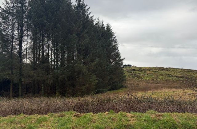 Ballyashea, Kilnamona, Co. Clare - Click to view photos