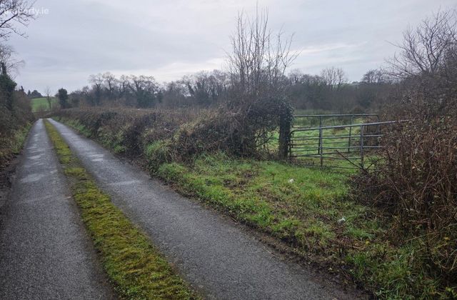 Drummod, Bodyke, Co. Clare - Click to view photos