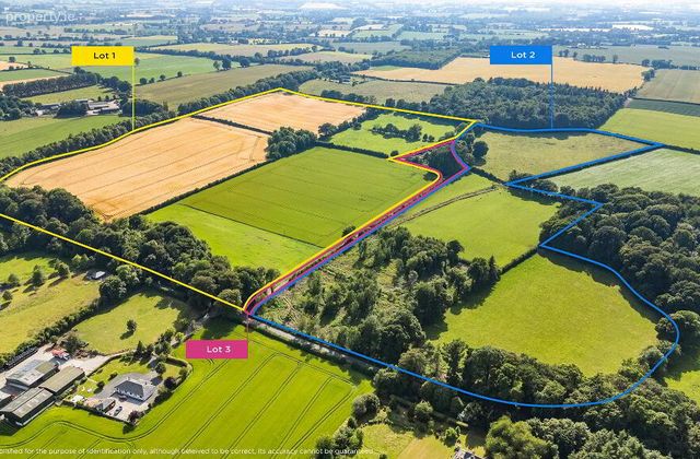 Whole: Lands &amp; Cottage, Lisnavagh, Rathvilly, Co. Carlow, Rathvilly, Co. Carlow - Click to view photos