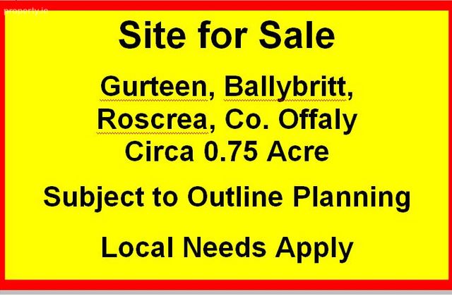 Gurteen, Ballybritt, Roscrea, Boheraphuca, Co. Offaly - Click to view photos