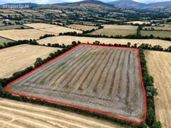 Ballaghmore, Ballon, Co. Carlow - Image 2