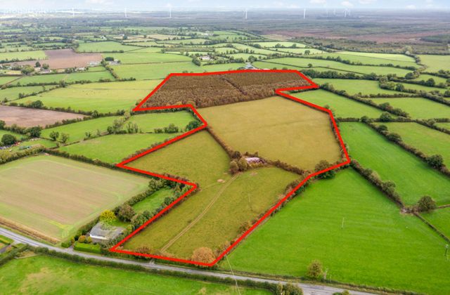 Ballygarrett, Clonbullogue, Co. Offaly - Click to view photos