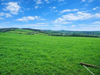 C.50ac Killylaragh, Emyvale, Co. Monaghan - Image 2