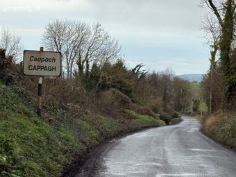 Ballyhomock, Cappagh, Adare, Co. Limerick - Image 4