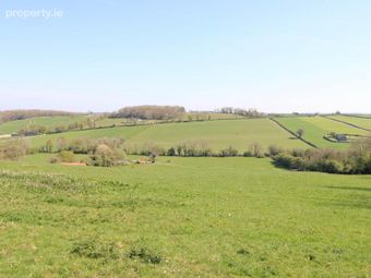 1, Johnstown, Puckane, Nenagh, Co. Tipperary, Rathcabbin, Co. Tipperary - Image 4