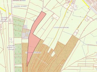Agricultural Land, Loughandonning, Golden Island, Athlone, Athlone, Co. Westmeath - Image 4