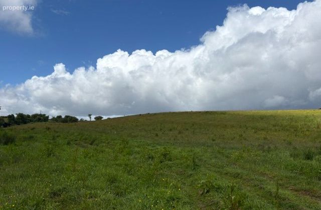 Gurteen, Cloonfad, Co. Roscommon - Click to view photos