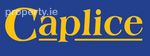 Caplice Auctioneers