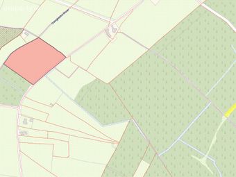 Dromsallagh, Cappamore, Co. Limerick - Image 2