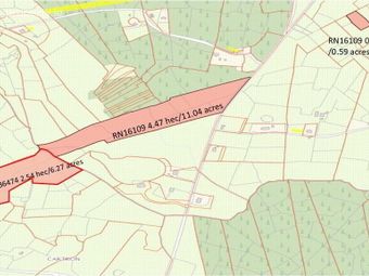 Land At, Fostragh, Keadue, Boyle, Co. Roscommon, Boyle, Co. Sligo - Image 2