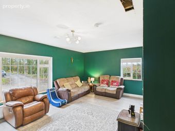 Newtownpilsworth, Athy Road, Carlow, Co. Carlow, Maganey, Co. Kildare - Image 5